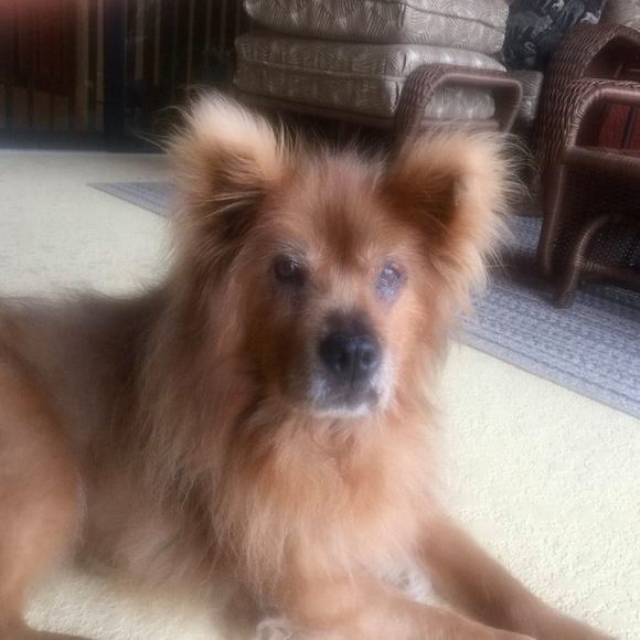 Meet your Posher, Danny - Picture 1 of 1